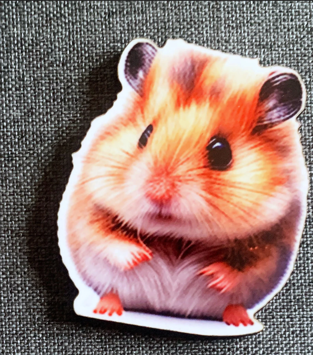 Hamster 2 Pin Badge/ Magnet