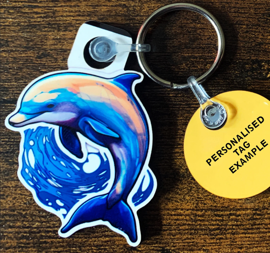 Dolphin 3 Keyring