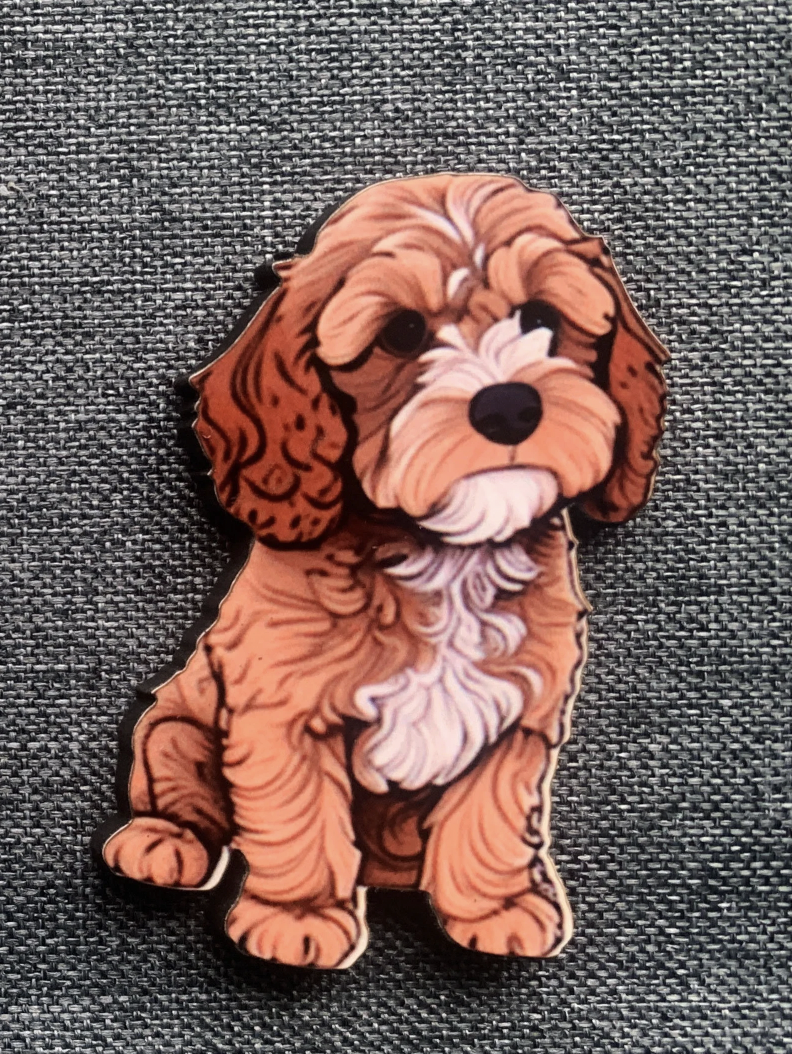 Cavapoo 3 Pin Badge/ Magnet