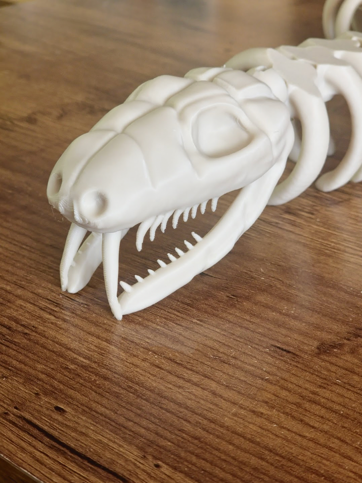 Flexi Skeleton Snake