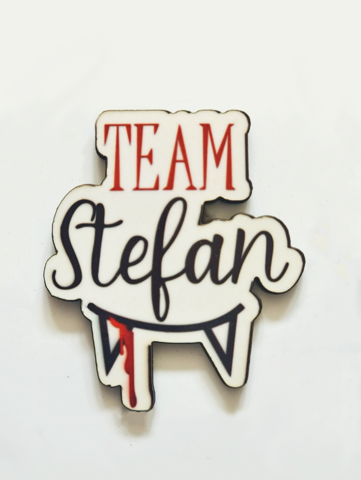 Team Stefan Pin Badge/ Magnet - The Vampire Diaries