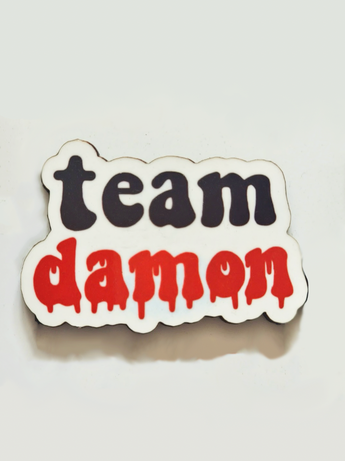 Team Damon Pin Badge/ Magnet - The Vampire Diaries