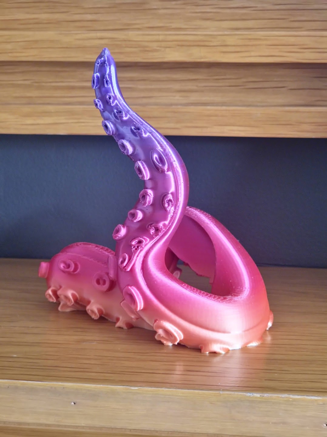 Tentacle Controller Holder