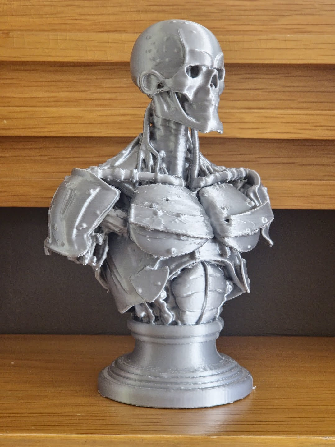Cyborg Bust