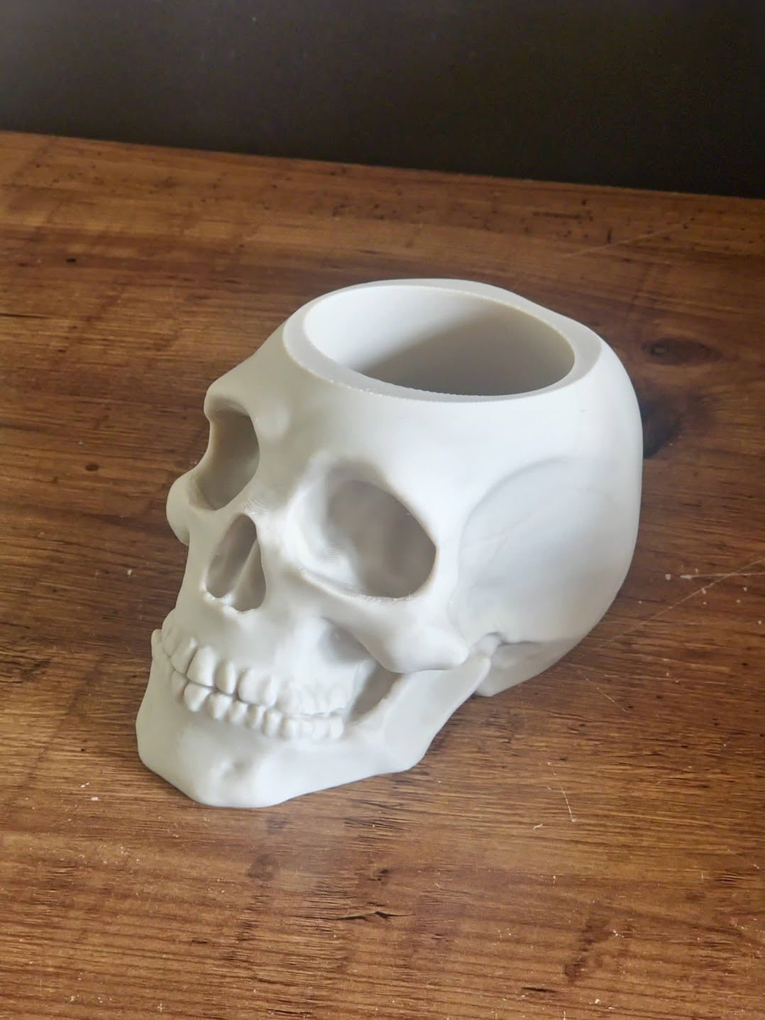 Skull Pen Holder