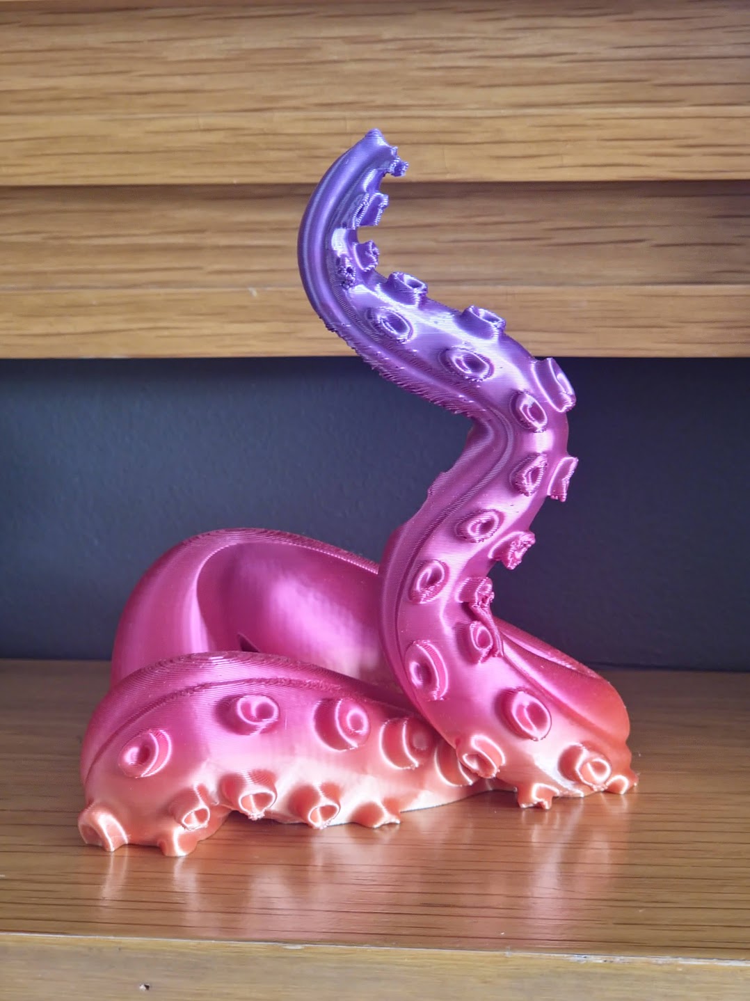 Tentacle Controller Holder