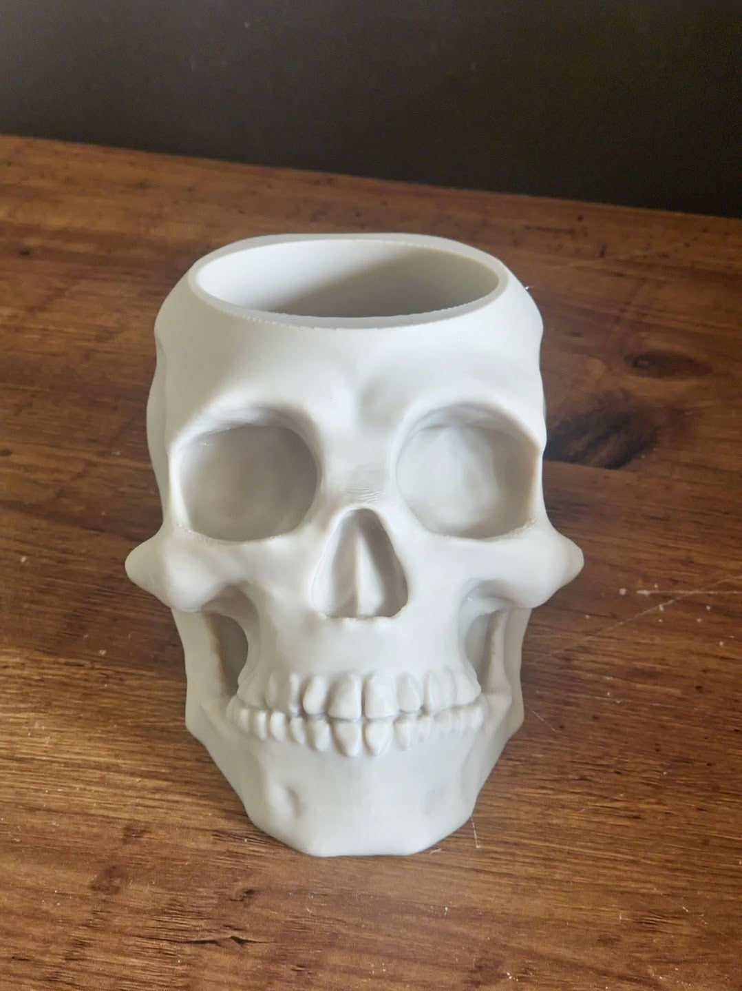 Skull Pen Holder