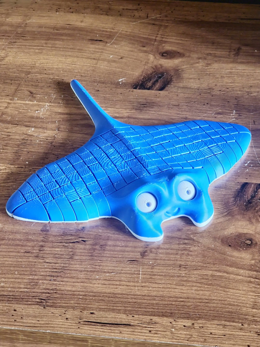Flexi Stingray