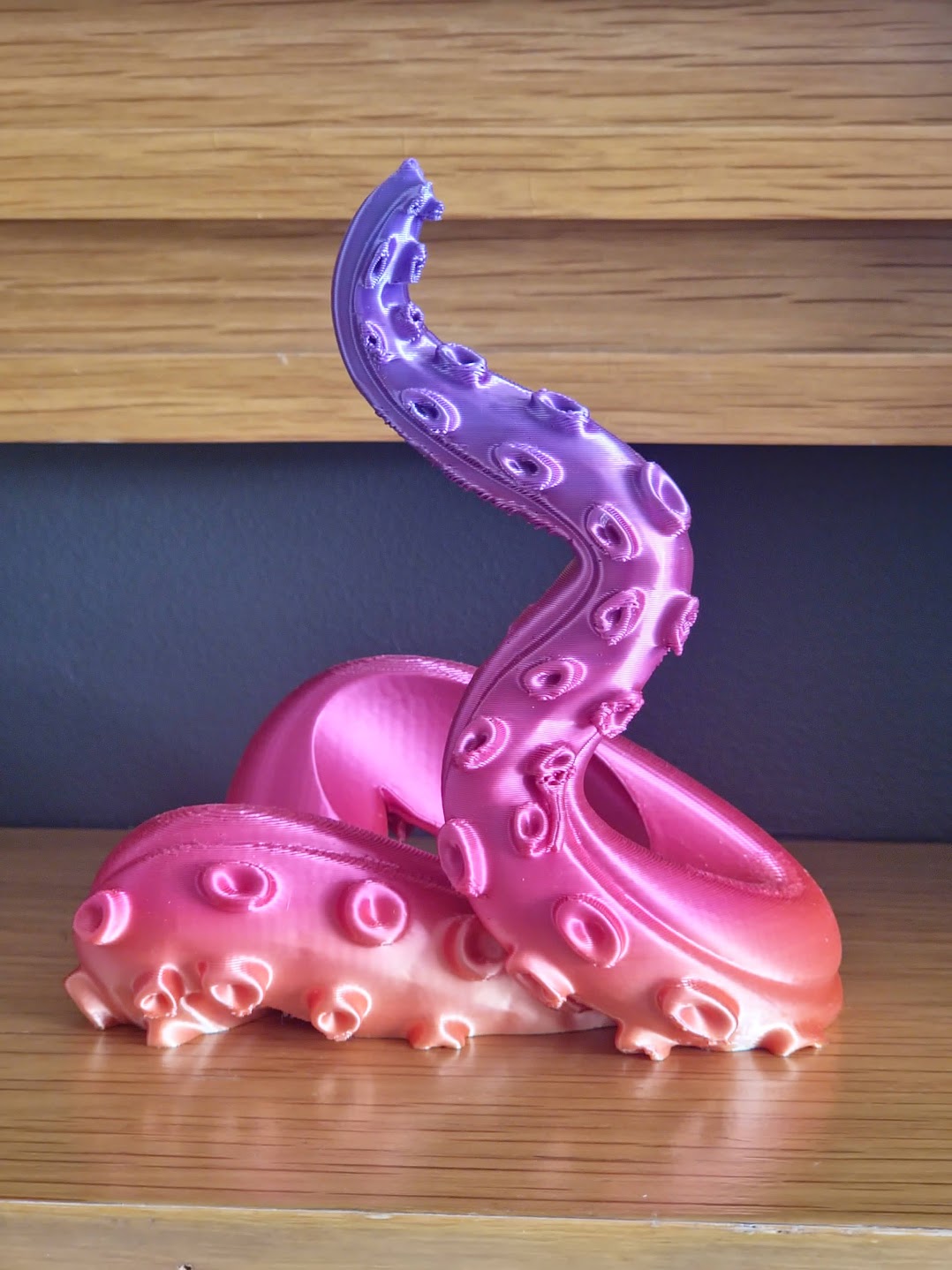 Tentacle Controller Holder