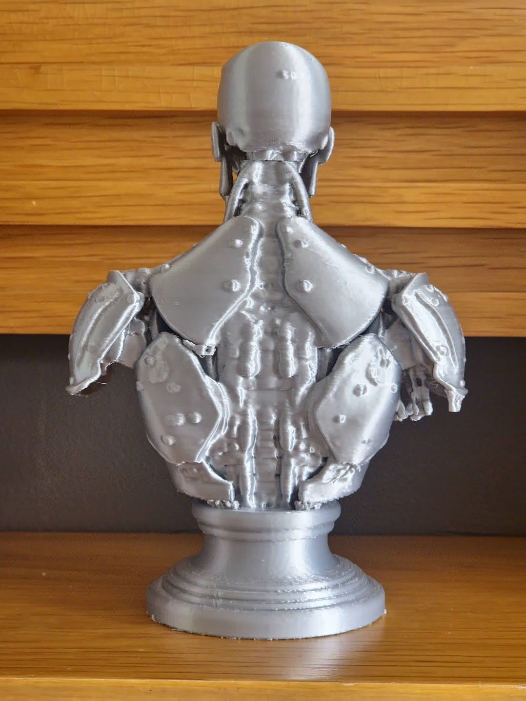 Cyborg Bust