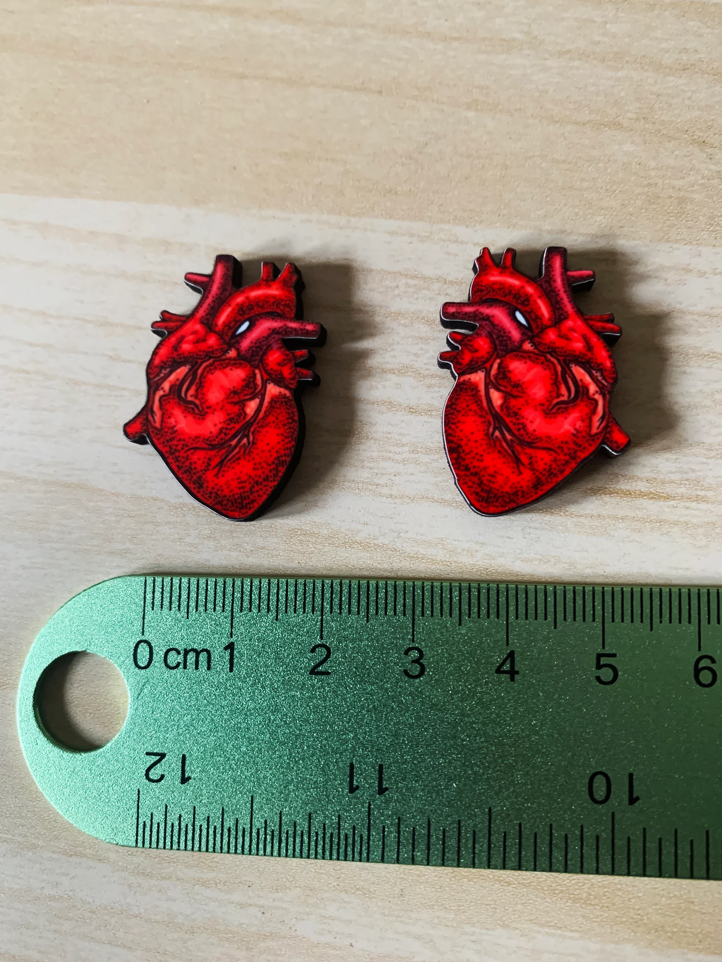 Anatomical Heart