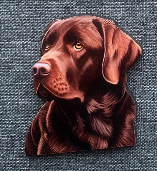 Chocolate Labrador 1 Pin Badge/ Magnet