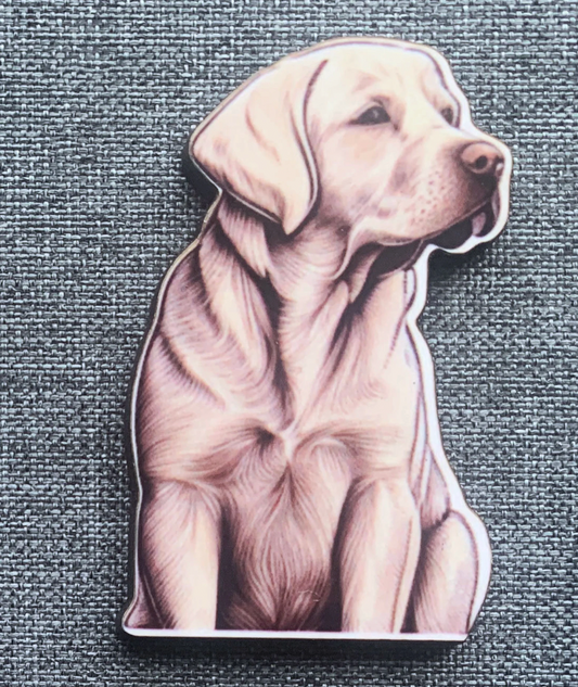 Labrador 2 Pin Badge/ Magnet
