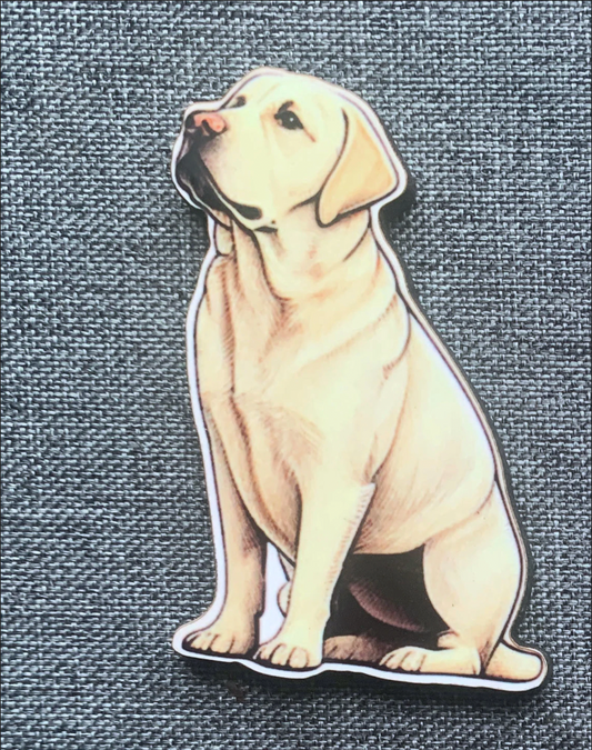 Labrador 1 Pin Badge/ Magnet