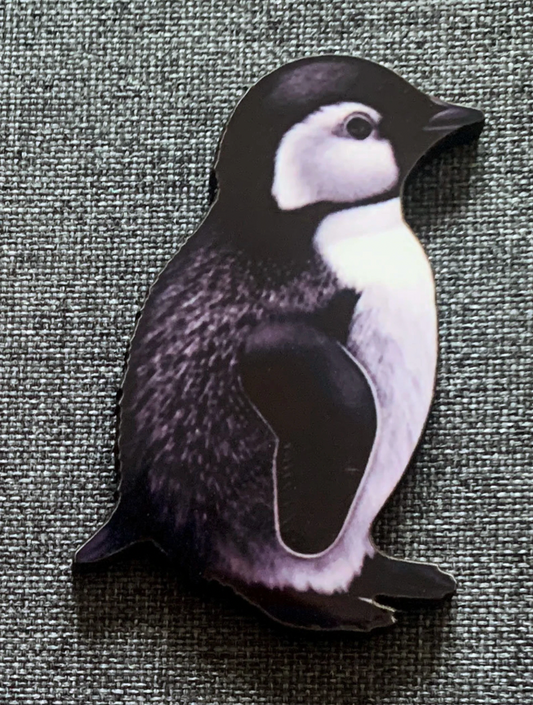 Penguin 2 Pin Badge/ Magnet