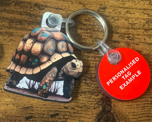 Tortoise 2 Keyring