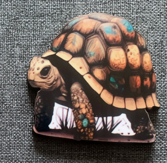 Tortoise 2 Pin Badge/ Magnet