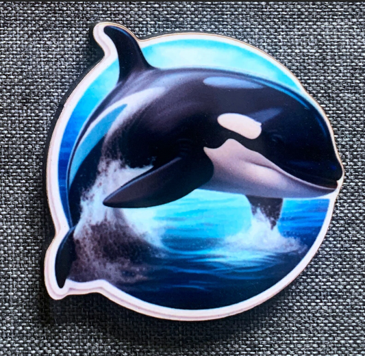 Killer Whale 4 Pin Badge/ Magnet