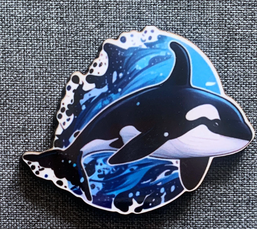 Killer Whale 2 Pin Badge/ Magnet