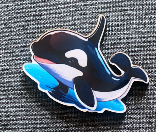 Killer Whale 1 Pin Badge/ Magnet