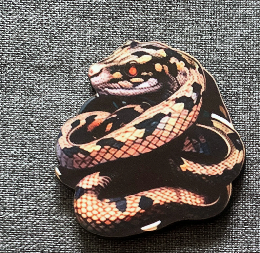 Snake 1 Pin Badge/ Magnet