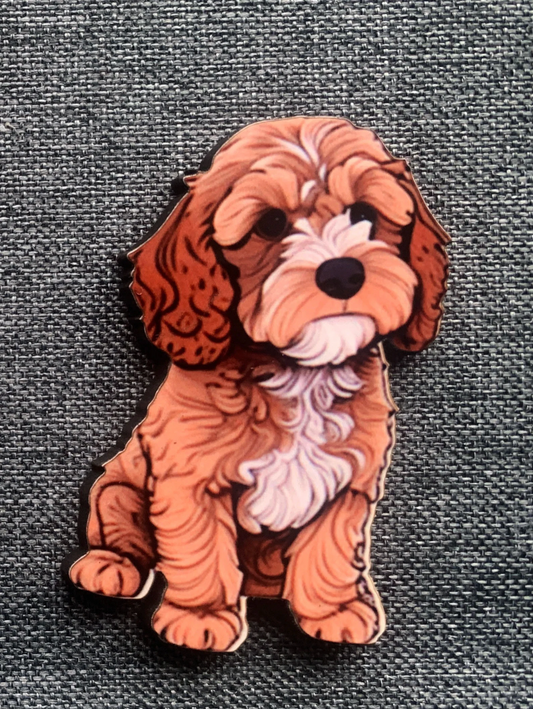 Cavapoo 3 Pin Badge/ Magnet