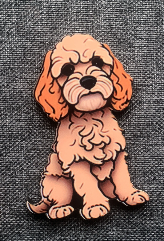 Cavapoo 2 Pin Badge/ Magnet