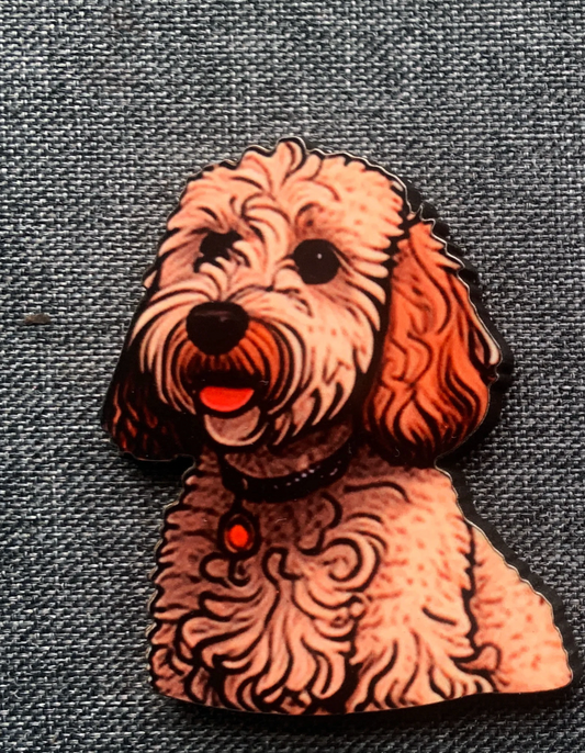 Cavapoo 1 Pin Badge/ Magnet