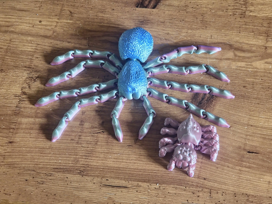 Flexi Spider