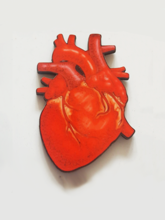 Anatomical Heart Pin Badge/ Magnet