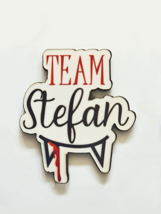 Team Stefan Pin Badge/ Magnet - The Vampire Diaries