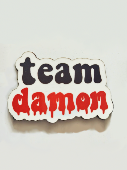Team Damon Pin Badge/ Magnet - The Vampire Diaries