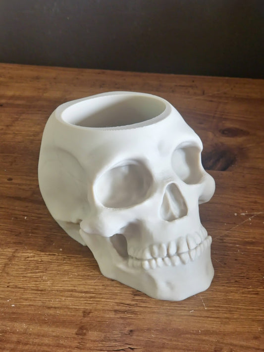 Skull Pen Holder