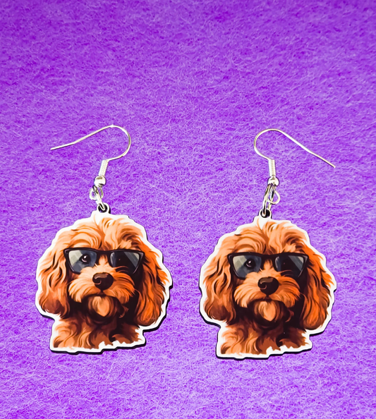 Cavapoo Sunglasses