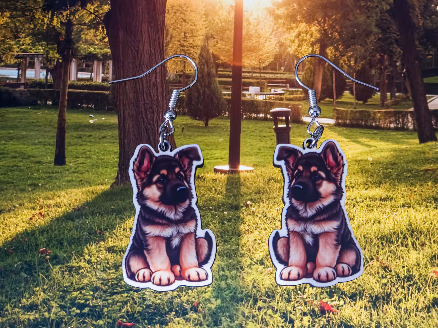 German Shepherd Puppy