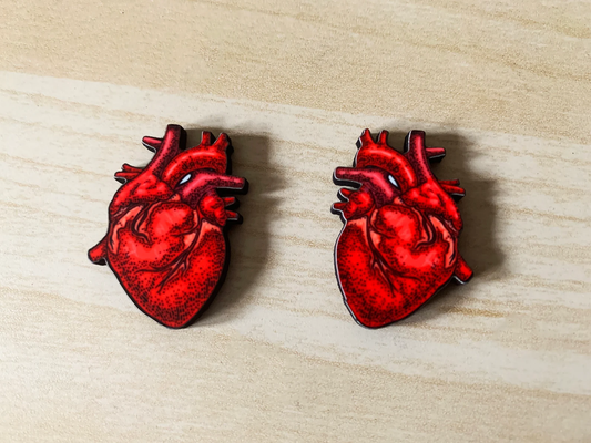 Anatomical Heart